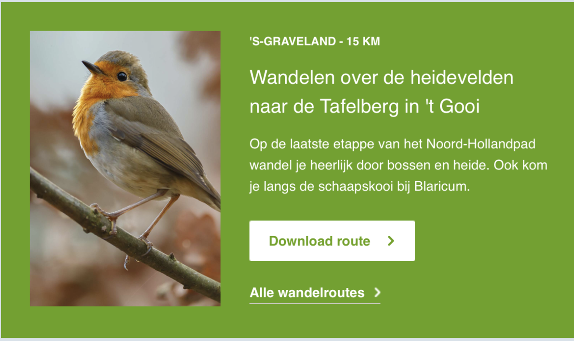 Wandelen over de heidevelden naar de Tafelberg op het Noord-Hollandpad