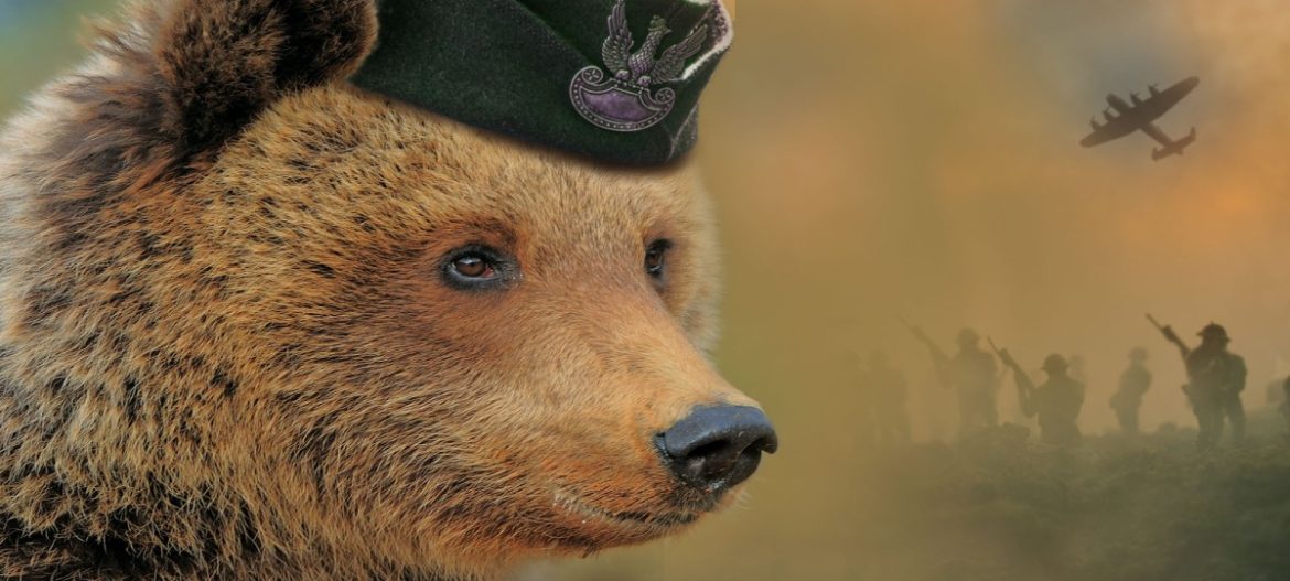 Leerlingen van negen basisscholen in Laren en Blaricum lezen allemaal hetzelfde boek: ’We willen het leesvirus verspreiden’