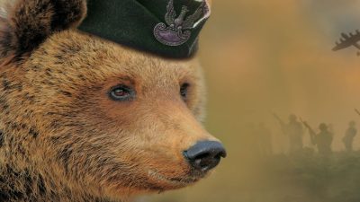 Leerlingen van negen basisscholen in Laren en Blaricum lezen allemaal hetzelfde boek: ’We willen het leesvirus verspreiden’