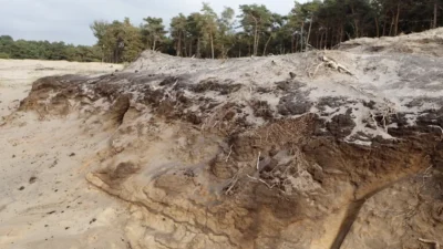 Geoloog vertelt over ontstaan Utrechtse Heuvelrug en Gooi