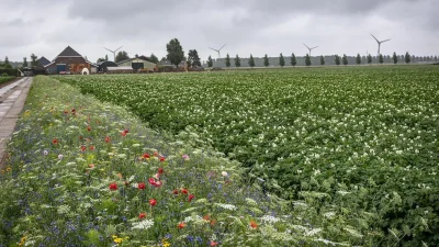 Provincie geeft vier keer meer geld uit aan natuurbeheer door boeren