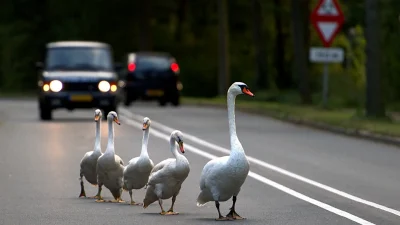 Leer fotograferen tijdens gratis workshop in Eemnes