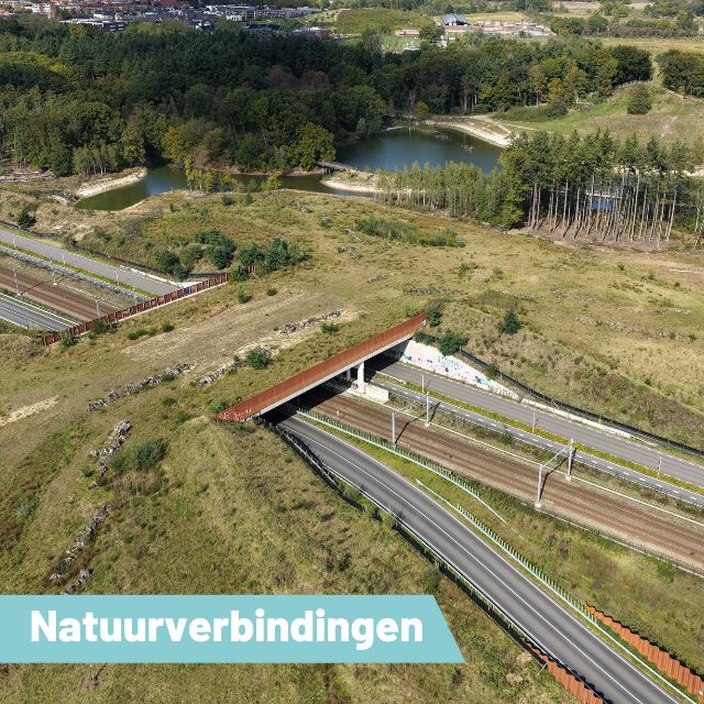 Themamiddag schaapskooi