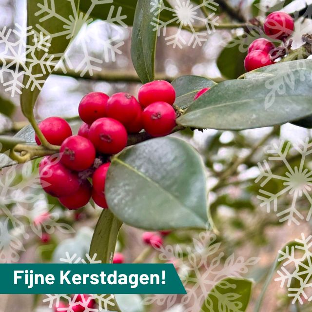 Heel fijne Kerstdagen!