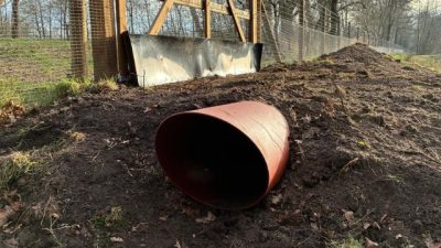 Dassentunnel aangepast