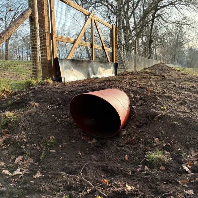 Dassentunnel aangepast