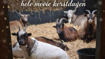 Namens het Geitenweitje…