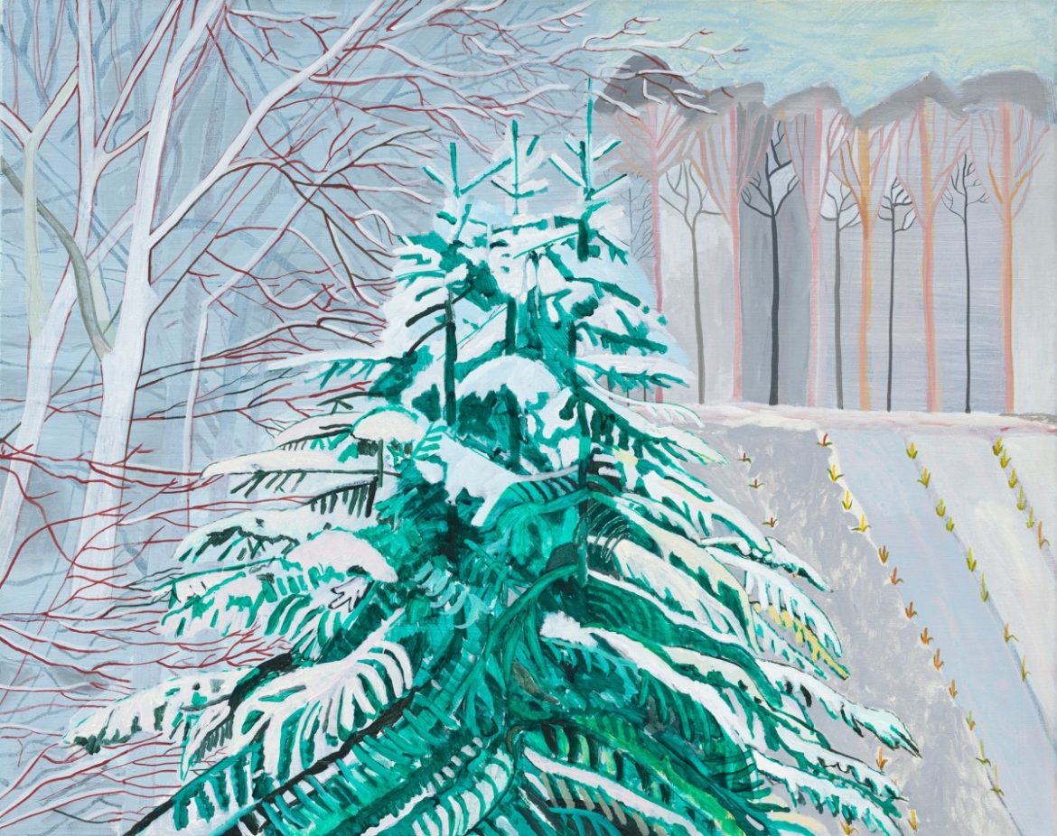 Eerste Kerstdag: 1404x  bekeken +Top Tien meest gelezen berichten