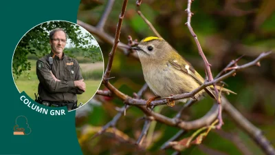 ‘Verstilling’ door boswachter John Didderen