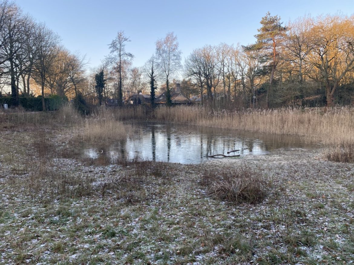 Eerste officiële matige vorst deze winter: -5,5 graden in De Bilt