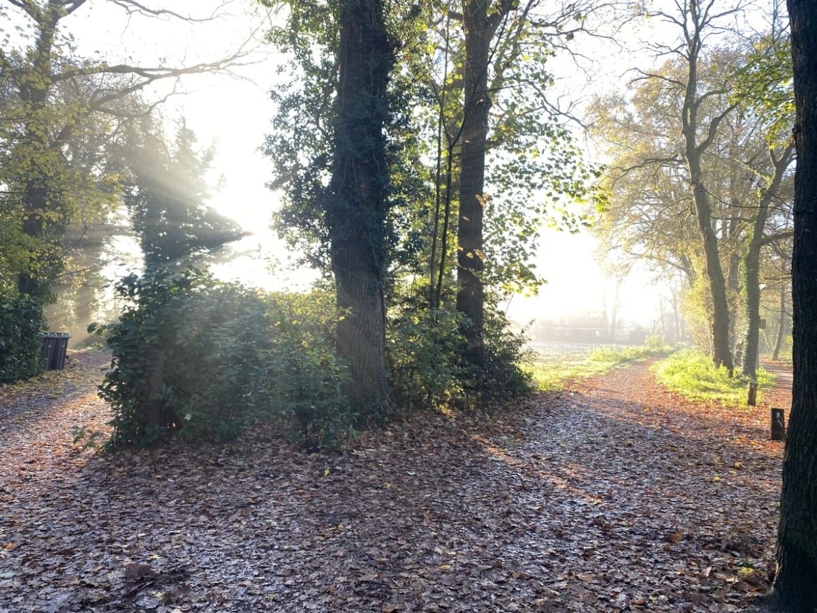 Warmste 7 december ooit gemeten