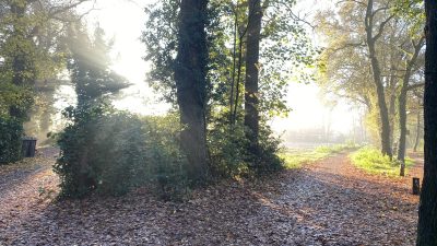 Warmste 7 december ooit gemeten