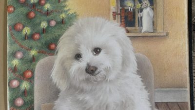 ‘Een Zalig & Vrolijk Kerstfeest’ Kerstwens van Bol-an door Annemarie Bitter