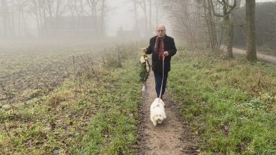 Bol-an wenst u hele leuke feestdagen!