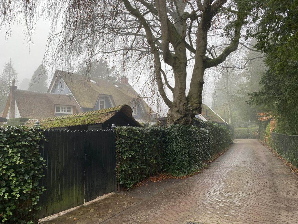 Laren stelt toekomstvisie voor dorp vast