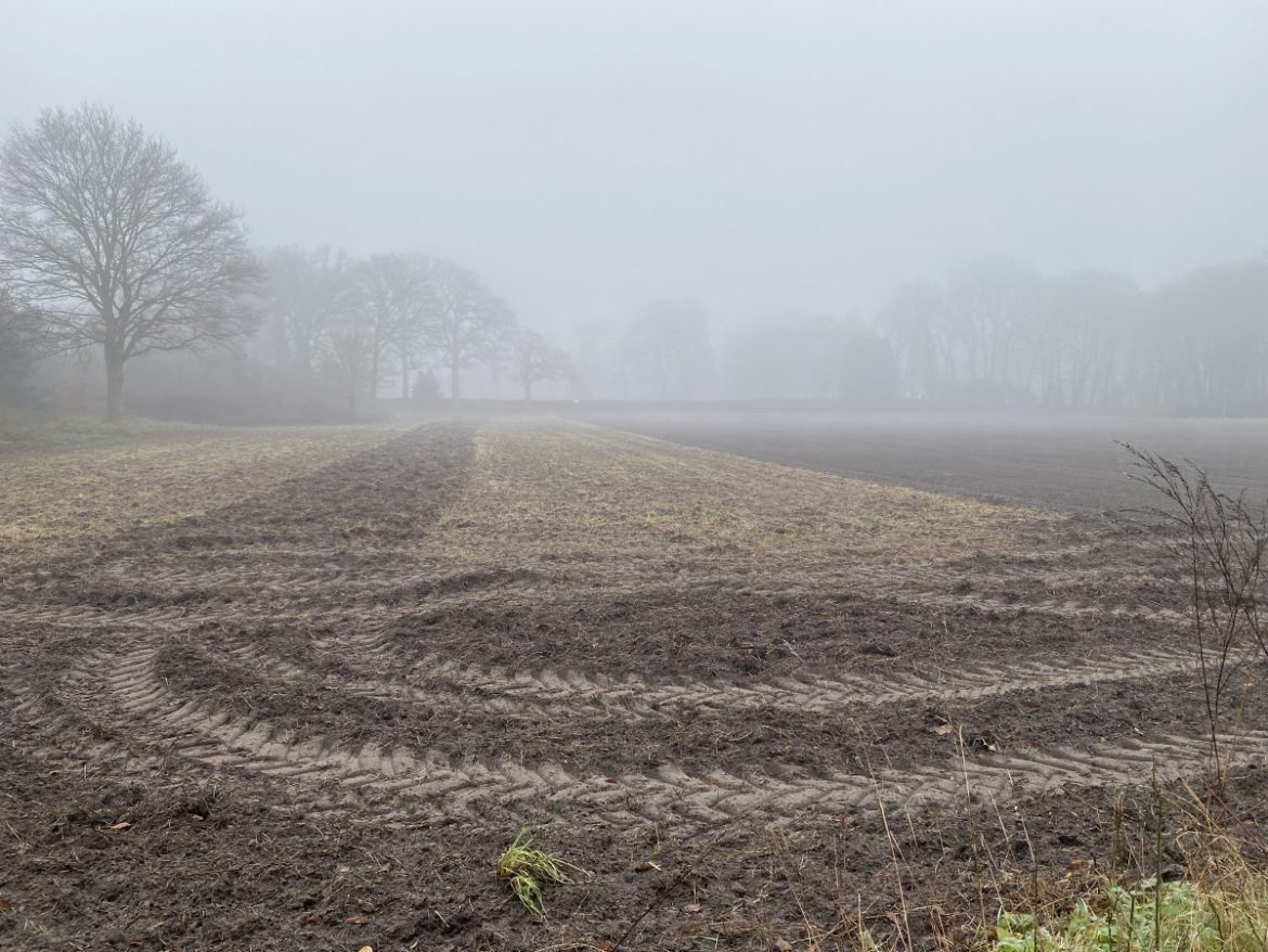 Code geel voor midden en zuiden vanwege dichte mist en gladheid