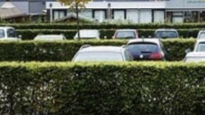 Parkeerplan bij Kasteel Groeneveld in Baarn zet druk op woonwarenhuis Nijhof: ’Gratis parkeren hoort bij onze gastvrijheid’