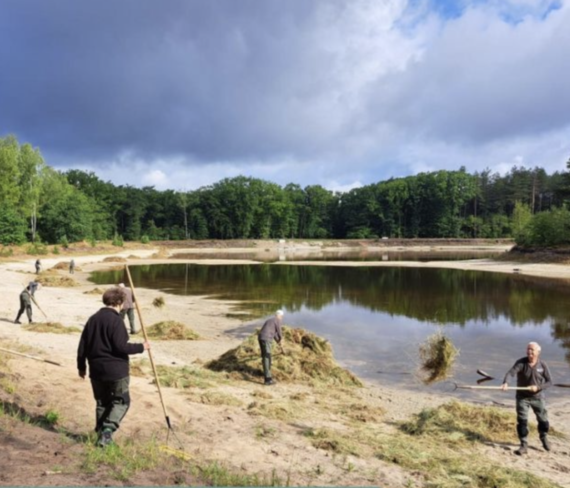 Nationale dag van de vrijwilliger