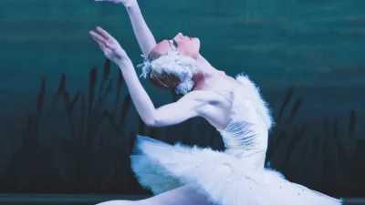 Zwanenmeer uitverkocht!