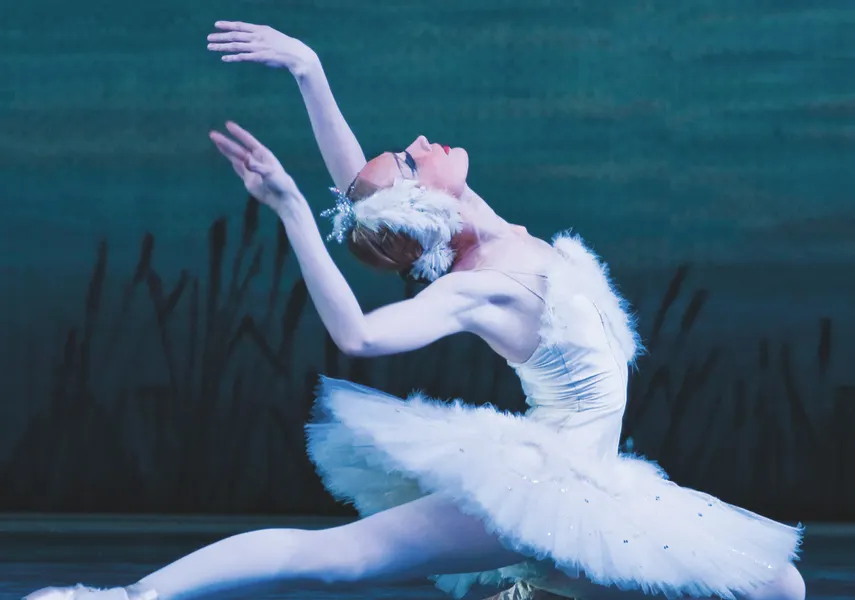 Zwanenmeer uitverkocht!