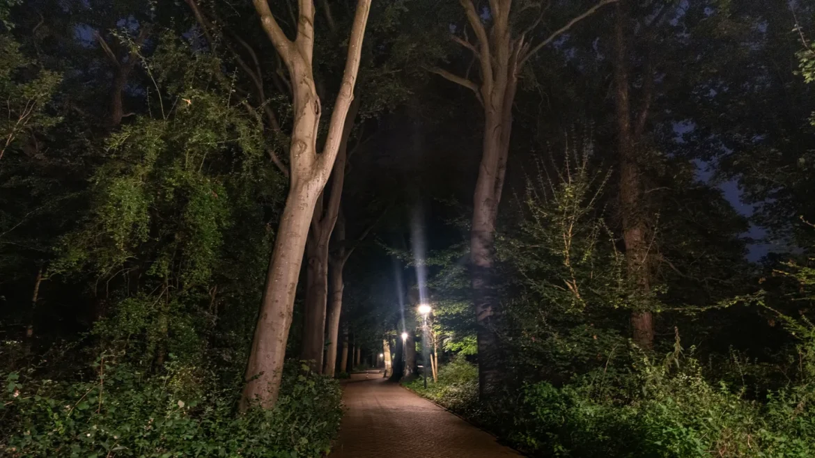 Provincie Noord-Holland vernieuwt verlichtingsbeleid: ‘Licht waar moet, donker waar kan’