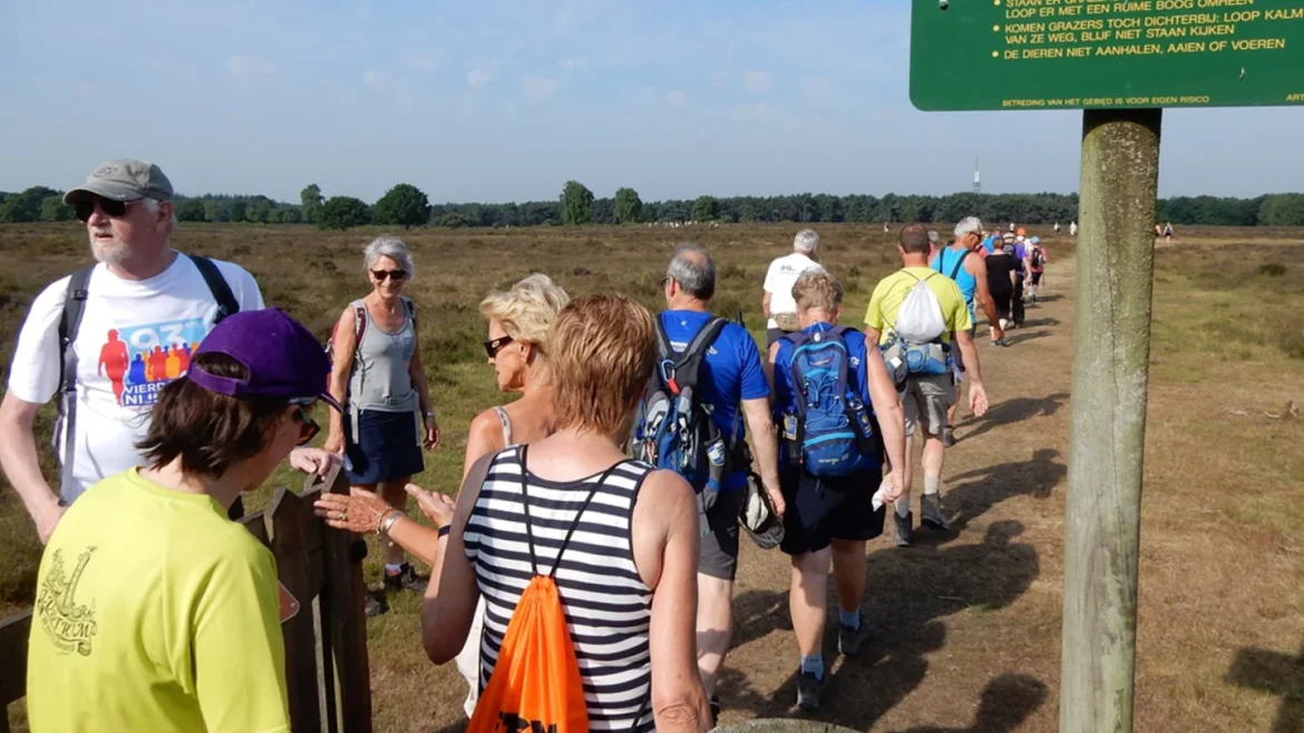 Stichting Wandelvierdaagse houdt winterse heidewandeling