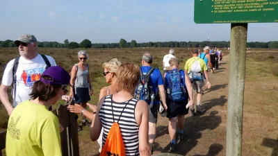 Stichting Wandelvierdaagse houdt winterse heidewandeling