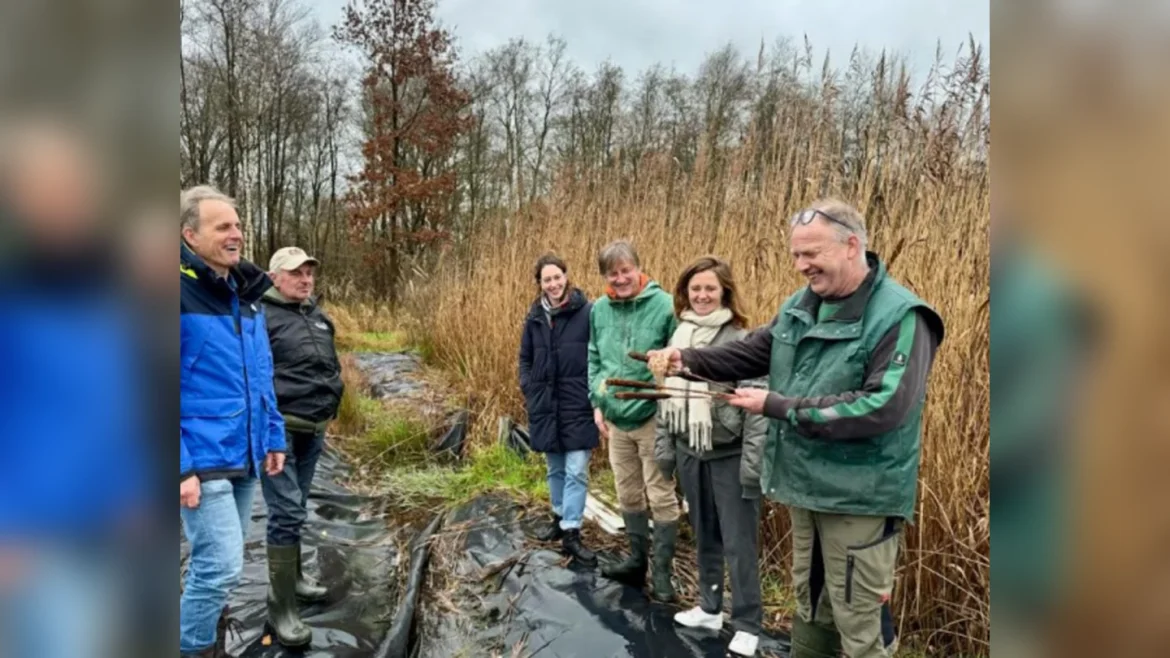 Rabo Stimuleringsfonds