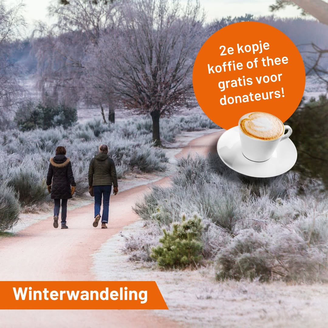 Lekker bewegen in het nieuwe jaar?