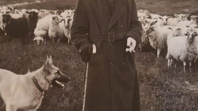 Herderin Rozenn verzamelt ansichtkaarten uit jaren ’60 van schaapskooi en kudde