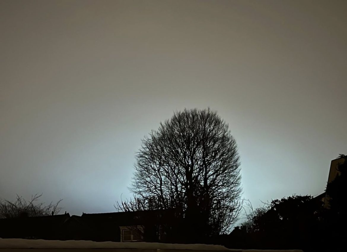 Winters licht boven Laren