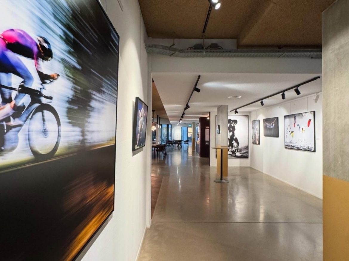 ‘Field of play’ nieuwe  expositie Rosa Spier Huis