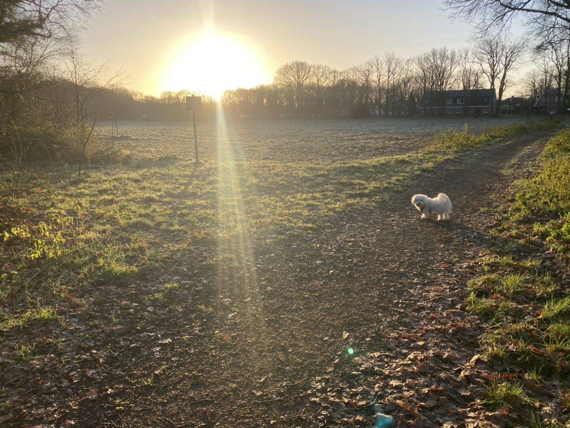 Maandag:2223x bekeken +Top 10 meest gelezen berichten