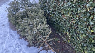 Sneeuw houdt GAD na gisteren ook vandaag  van de weg