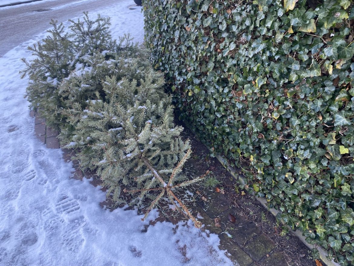 Zaterdag:1714x bekeken + Top 10 meest gelezen berichten