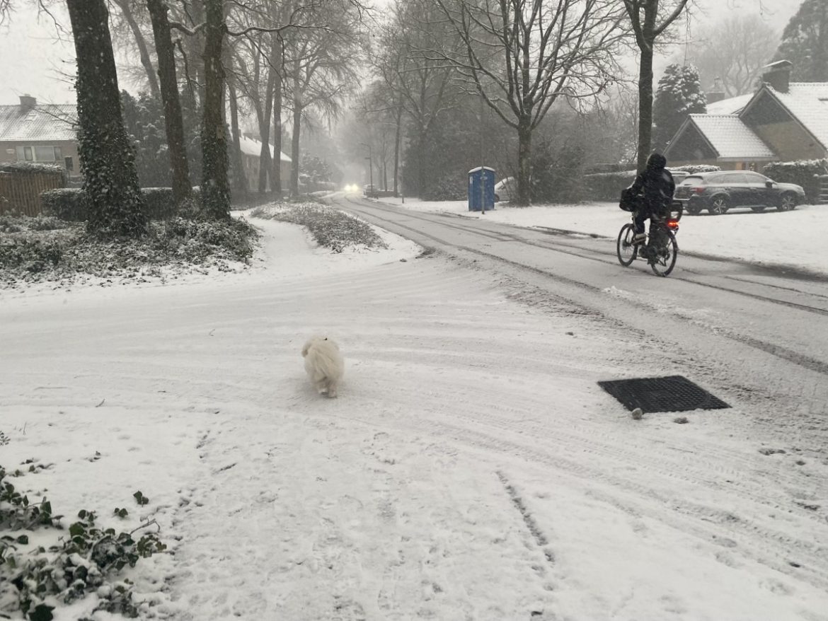 Ook vanochtend opletten geblazen!
