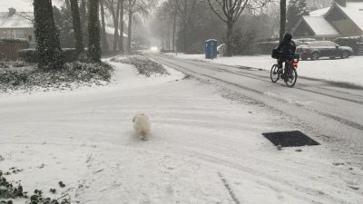Ook vanochtend opletten geblazen!