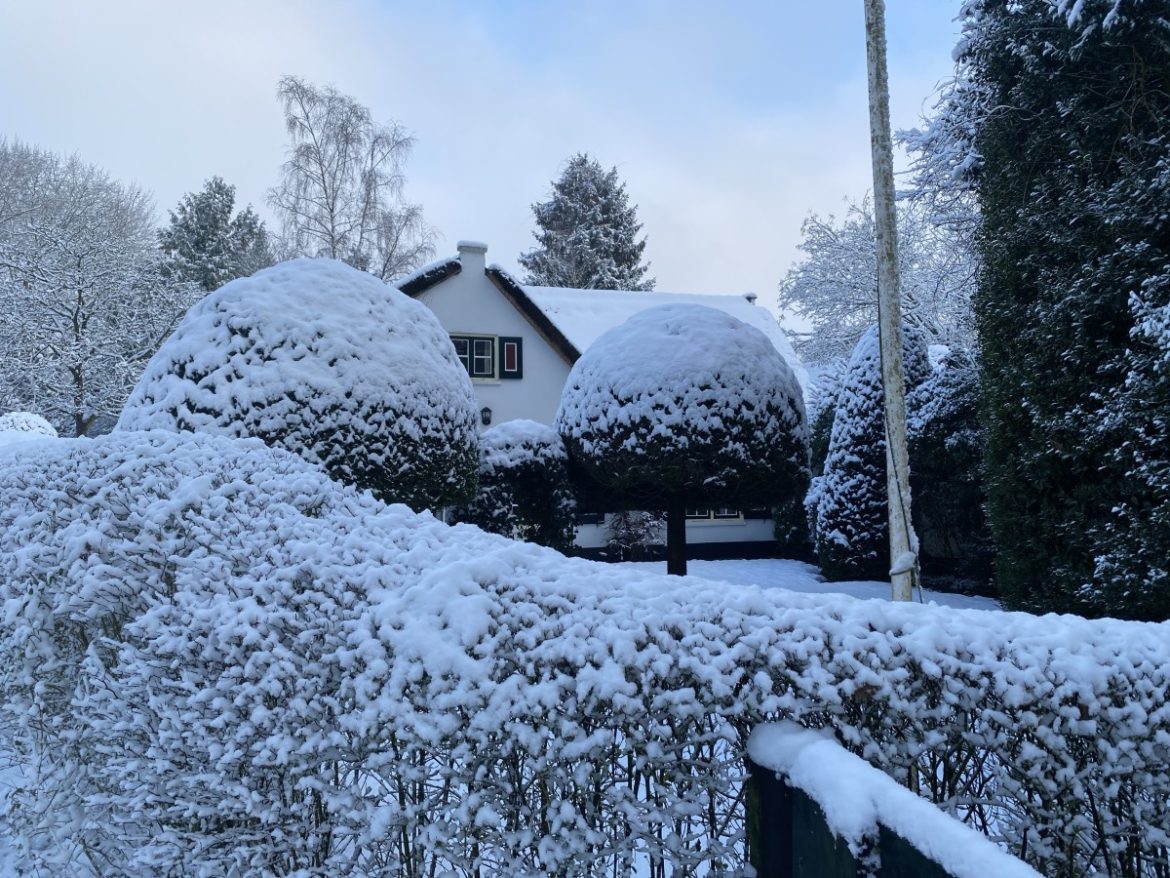 Dinsdag: 2470x bekeken +Top 10 meest gelezen berichten