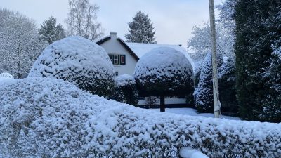 Dinsdag: 2470x bekeken +Top 10 meest gelezen berichten