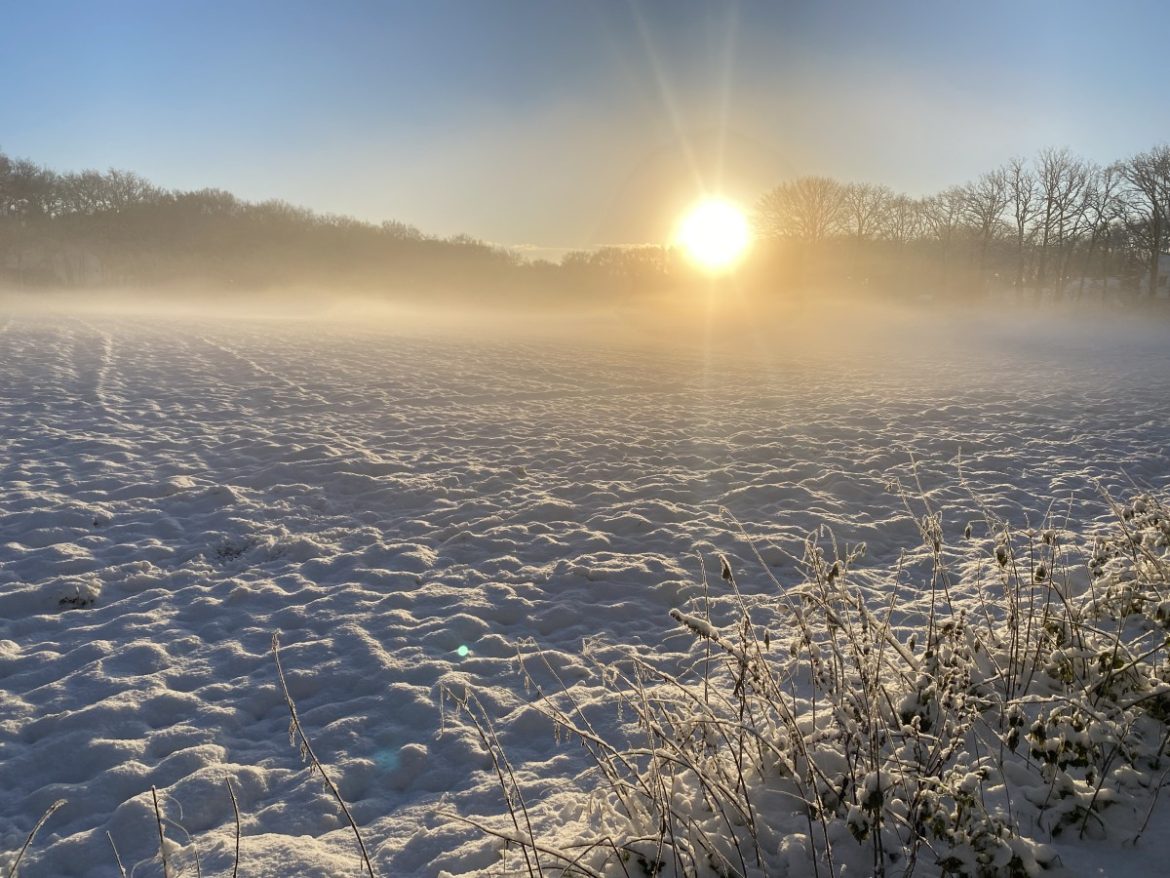 Rijkswaterstaat: Blijf morgen thuis!
