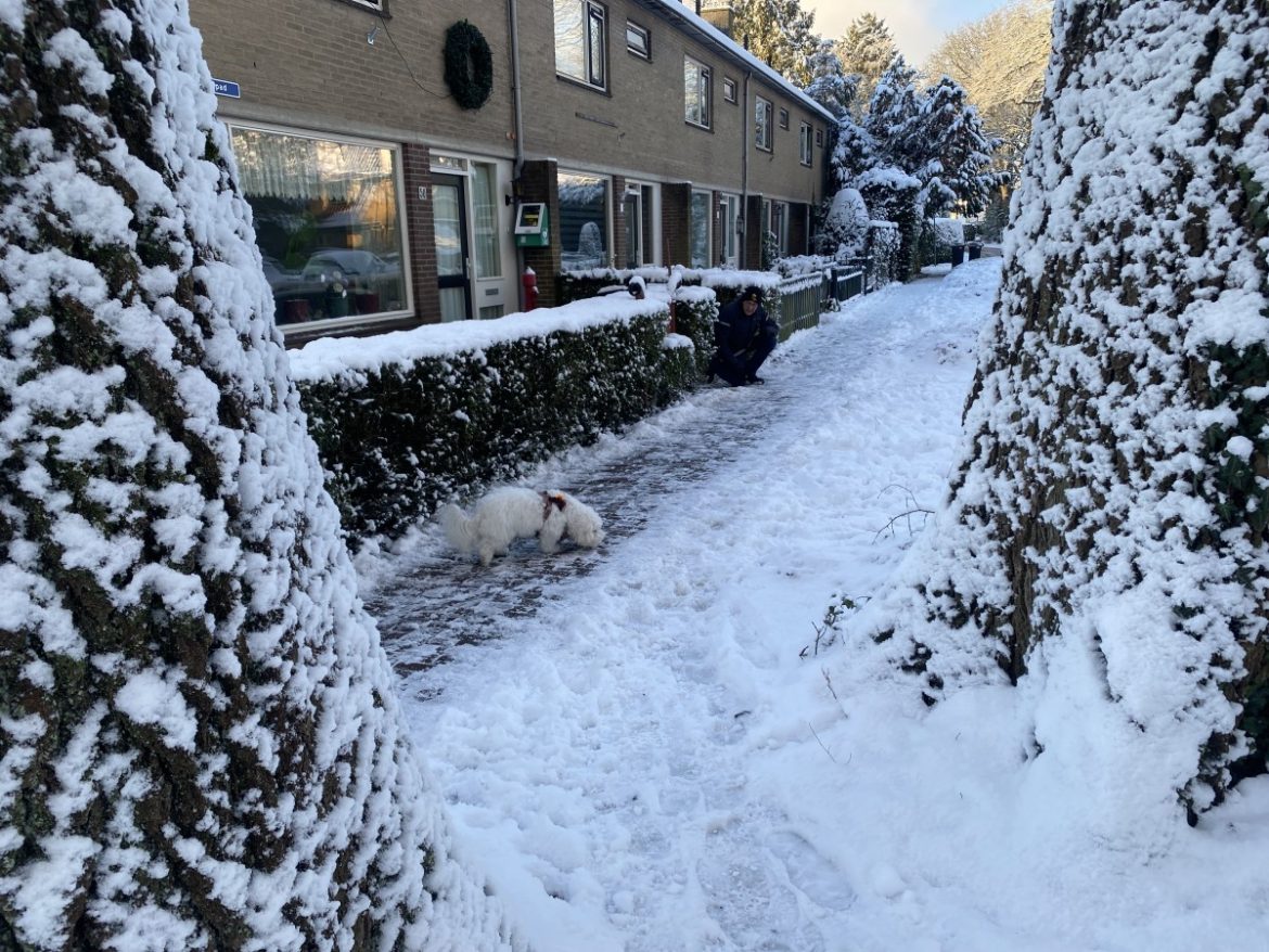 Sneeuw zorgt voor grote drukte in Tergooi