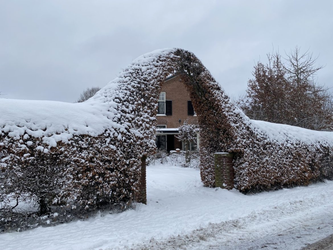 KNMI; Winter keert terug deze week, 10 cm sneeuw!