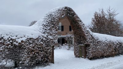 KNMI; Winter keert terug deze week, 10 cm sneeuw!