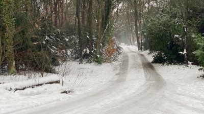 Donderdag:1866x bekeken +Top 10 meest gelezen berichten