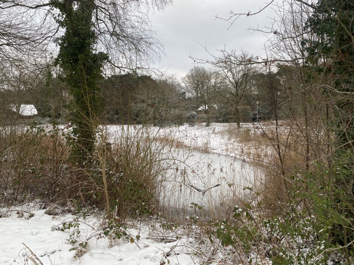 Zaterdag: 1772x bekeken +Top 10 meest gelezen berichten