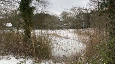 Zaterdag: 1772x bekeken +Top 10 meest gelezen berichten