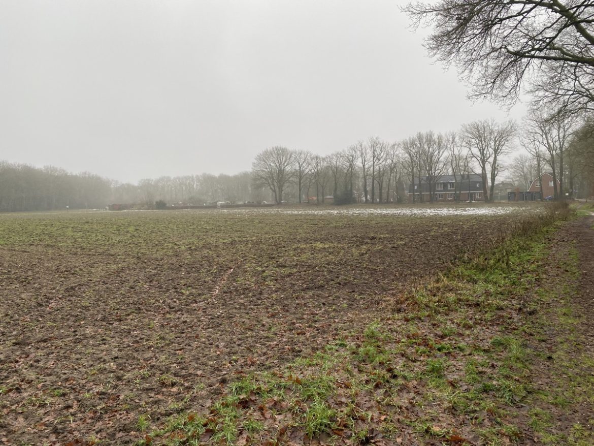 Dinsdag: 1743x bekeken +Top 10 meest gelezen berichten