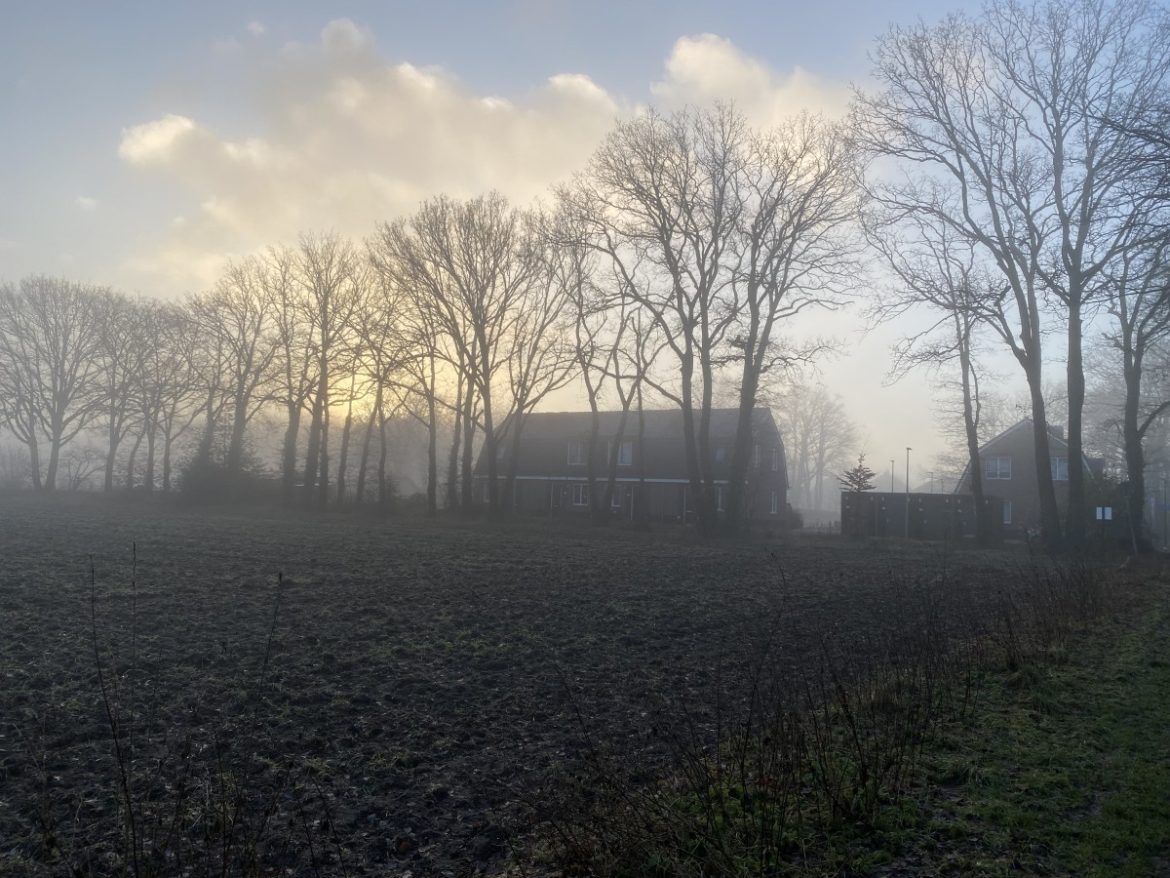 Donderdag:1378x bekeken +Top 10 meest gelezen berichten