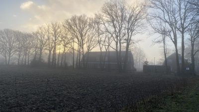 Donderdag:1378x bekeken +Top 10 meest gelezen berichten