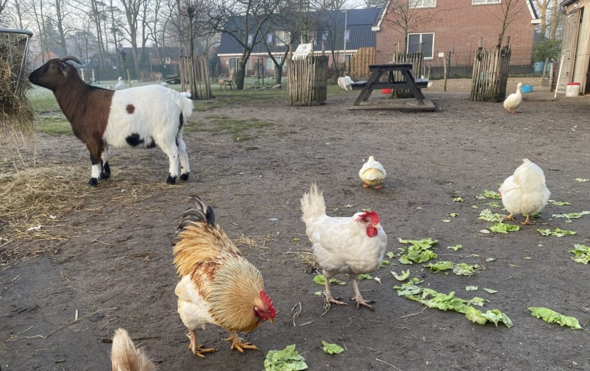 Woensdag:2729x bekeken +Top 10 meest gelezen berichten